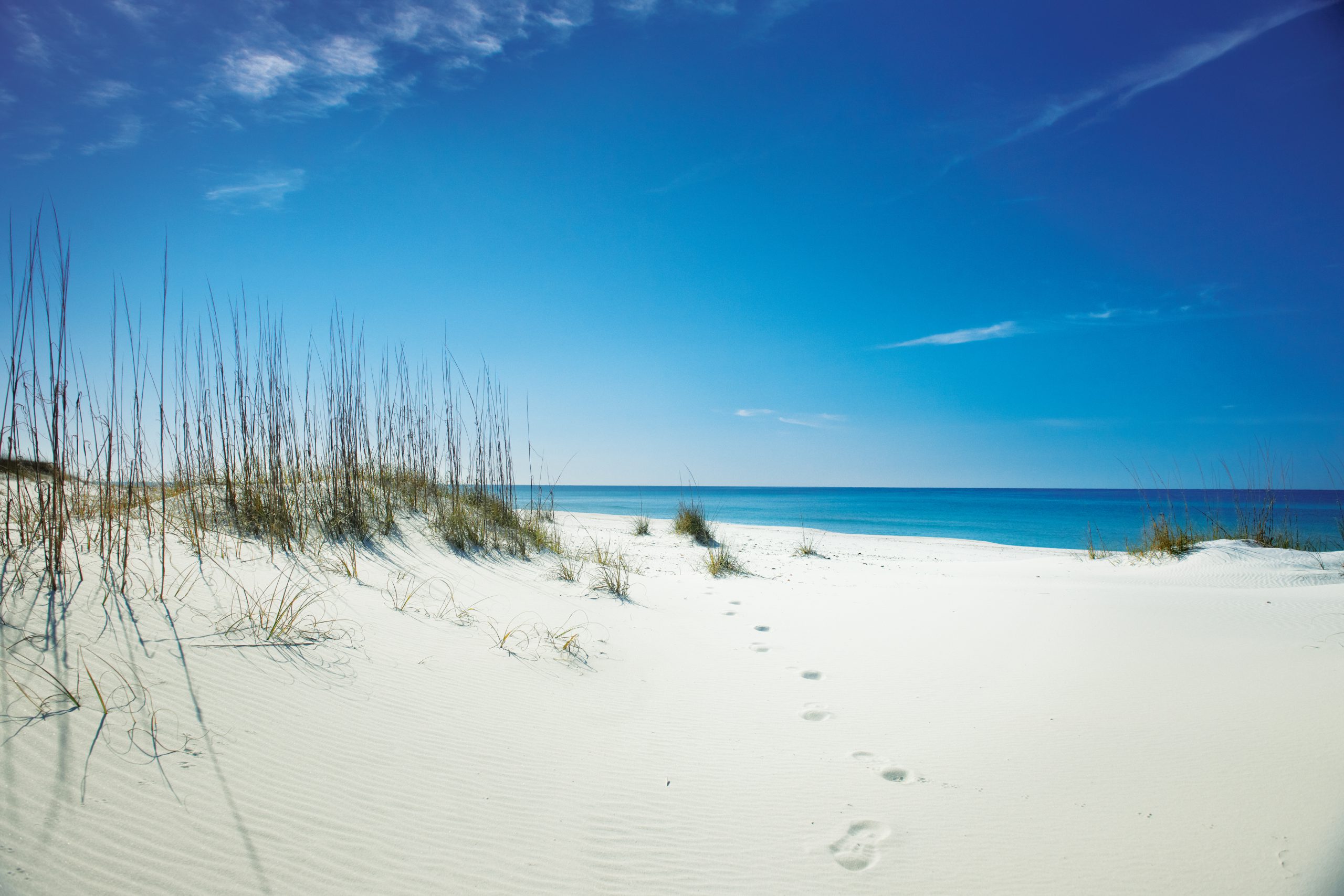 Florida von seiner schönsten Seite - TAUCHEN.de