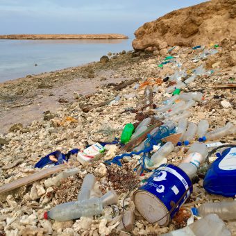 Plastikmüll ist eine Katastrophe für die Meere.