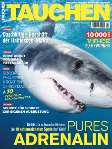 Hai Angriffe Der Gefahrlichste Strand Der Welt Tauchen De
