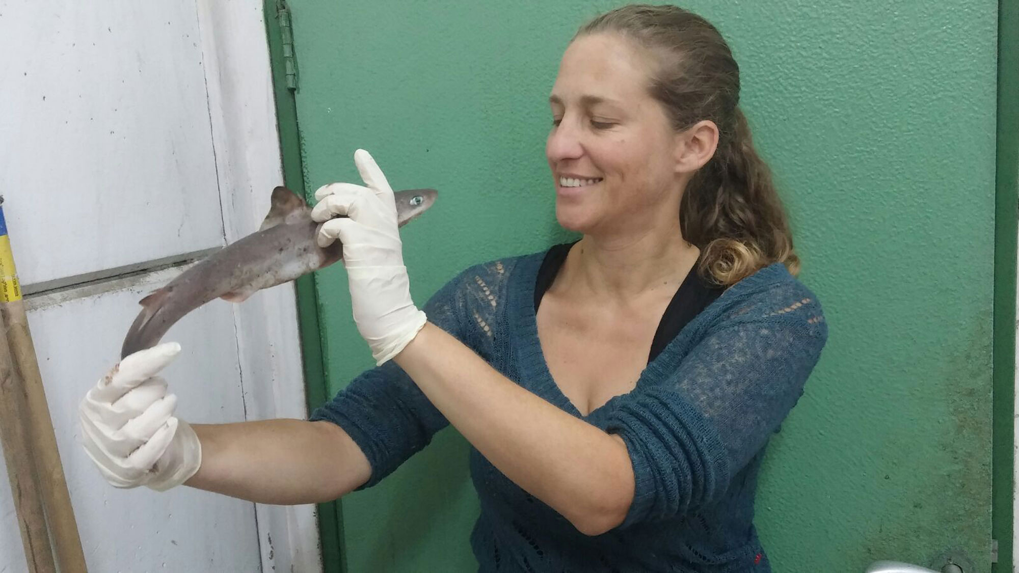  Adi Barash mit einem Baby-Hai in den Händen