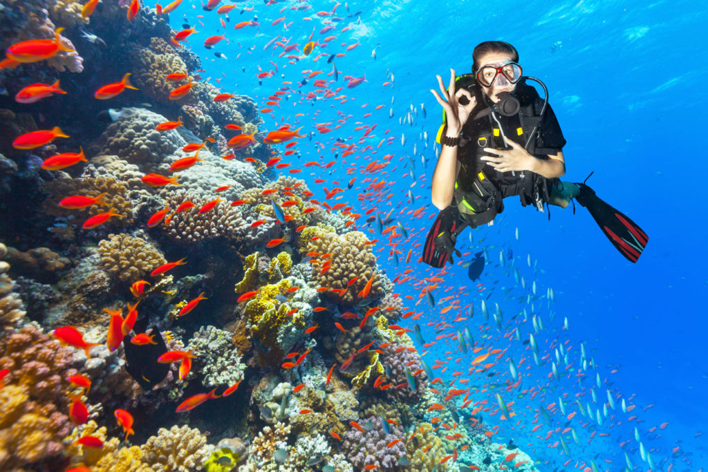 Abtauchen an herrlichen Korallenriffen. Foto: Jag cz/GettyImages
