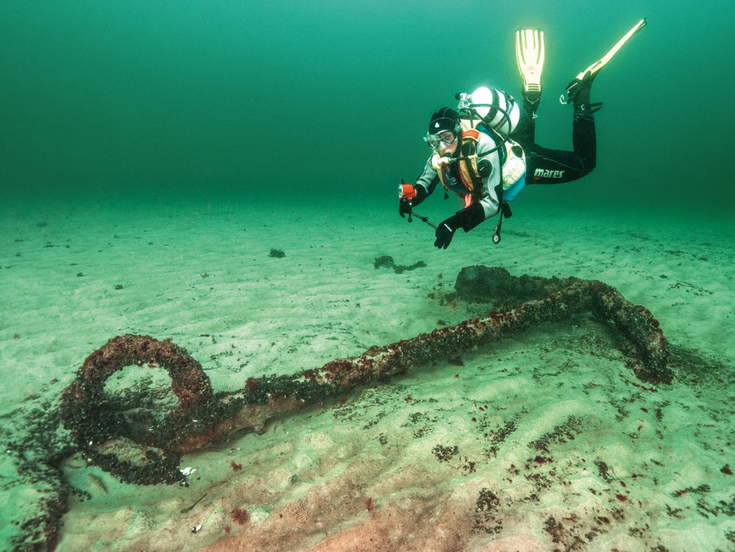 Fische in der Ostsee Bilder: Tauche ein in die Unterwasserwelt!